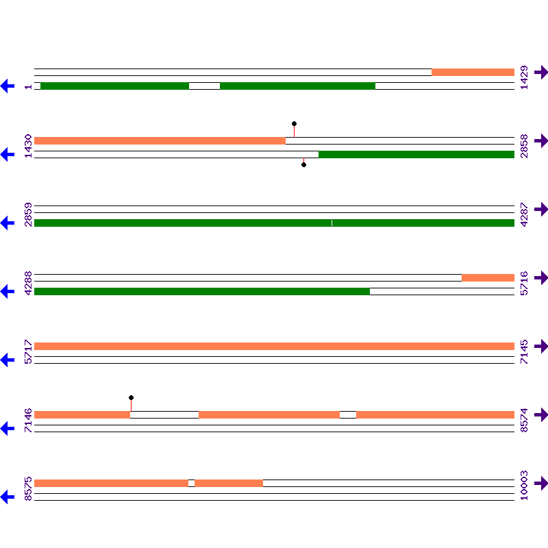 Genome View