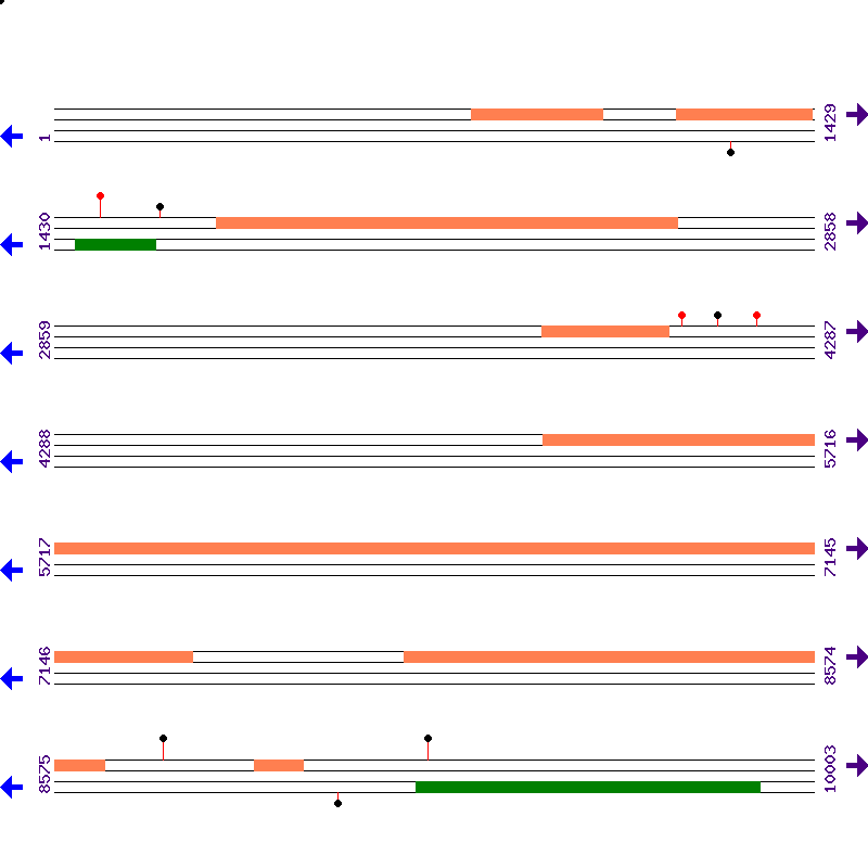 Genome View