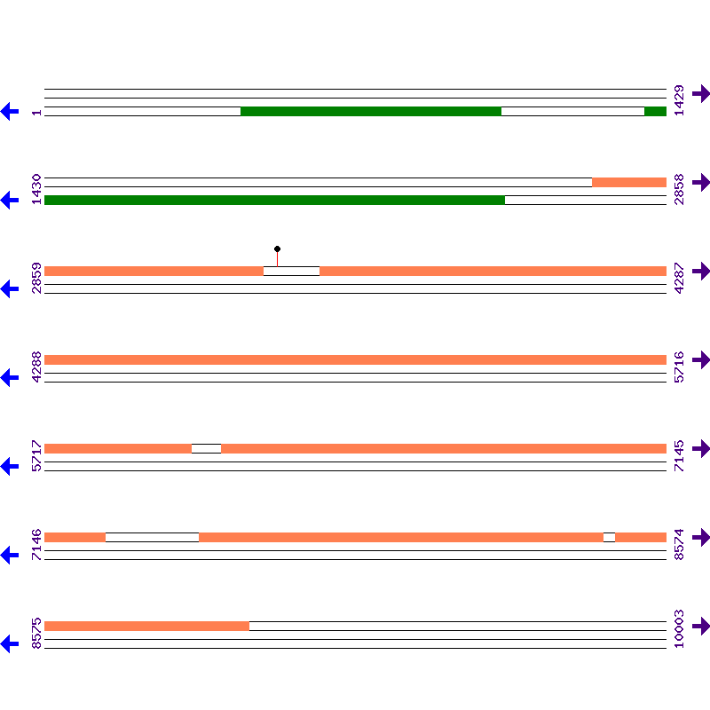 Genome View
