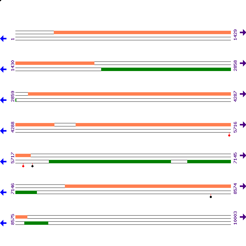 Genome View