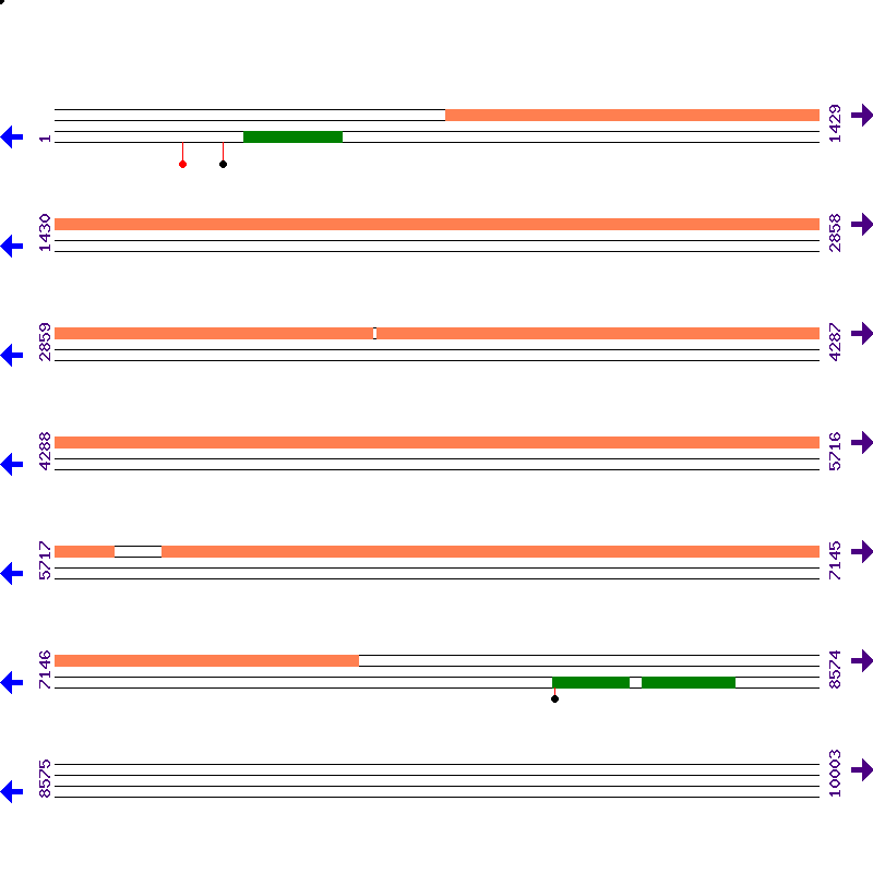 Genome View
