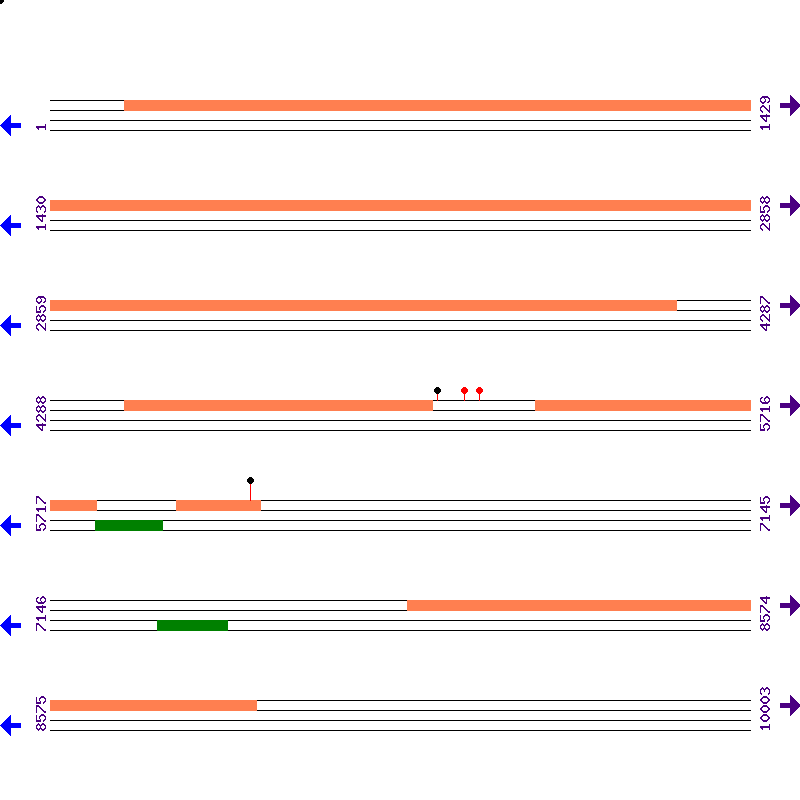 Genome View