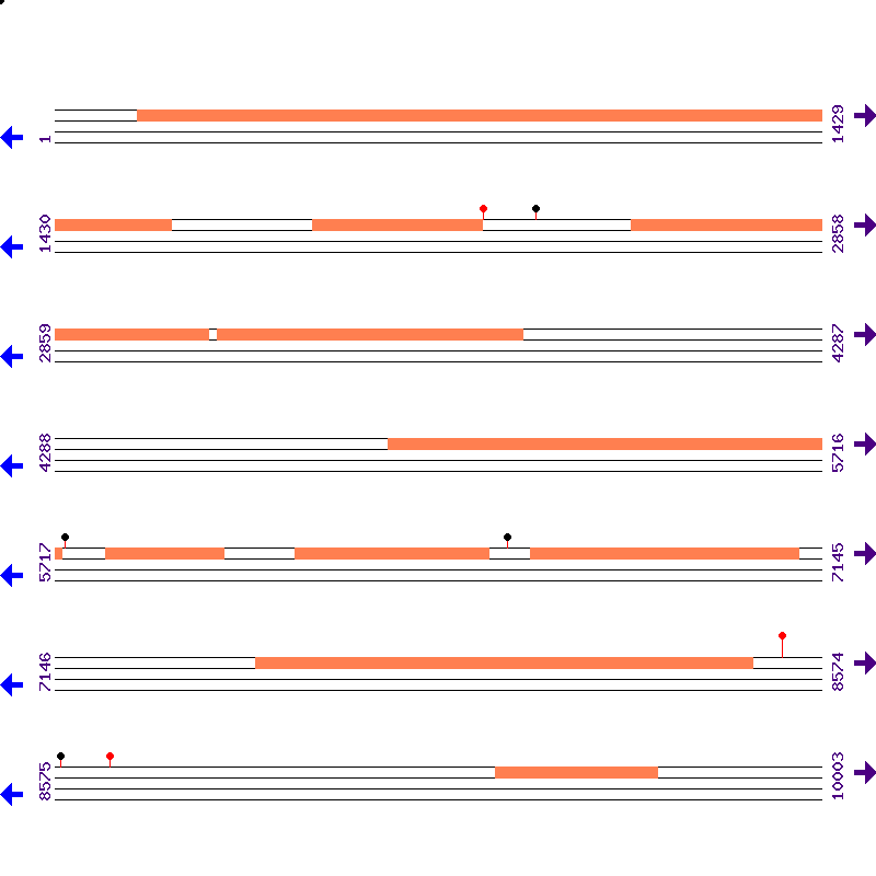 Genome View