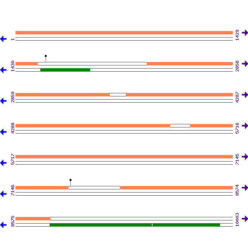 Genome View