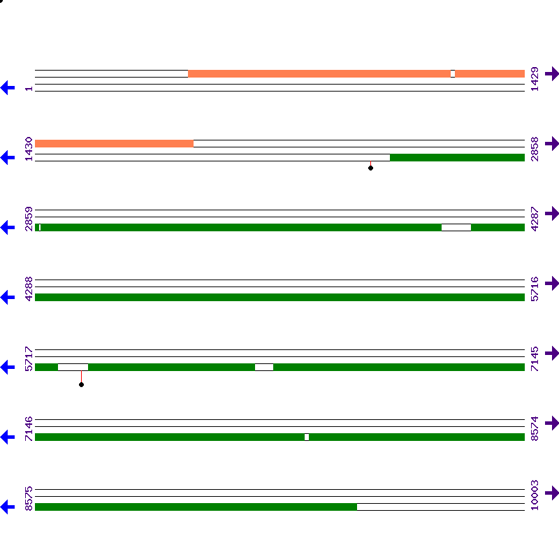 Genome View