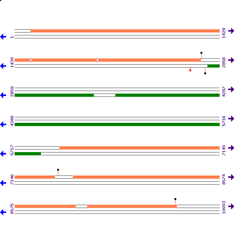Genome View