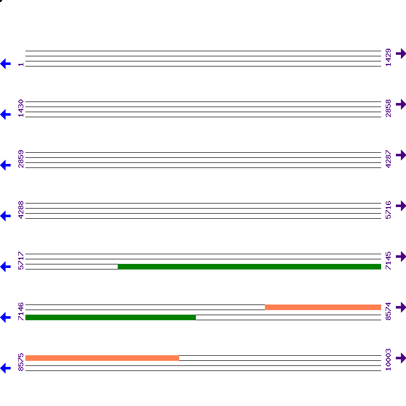 Genome View