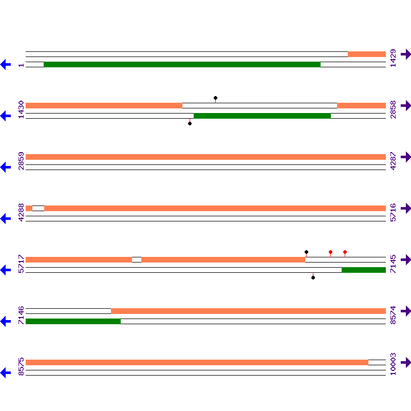 Genome View