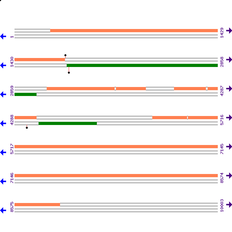 Genome View