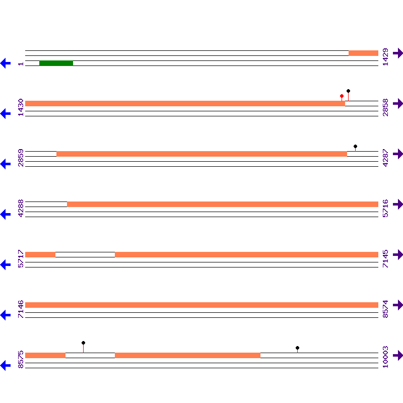 Genome View