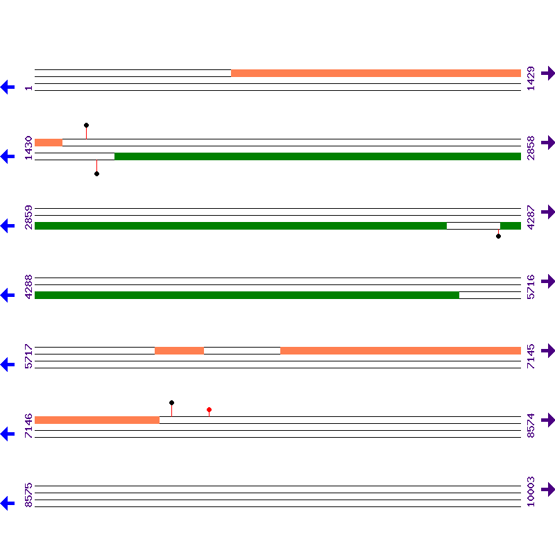 Genome View