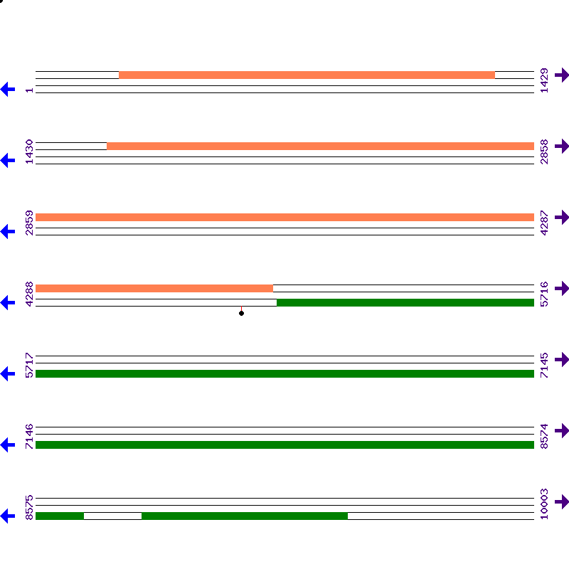 Genome View