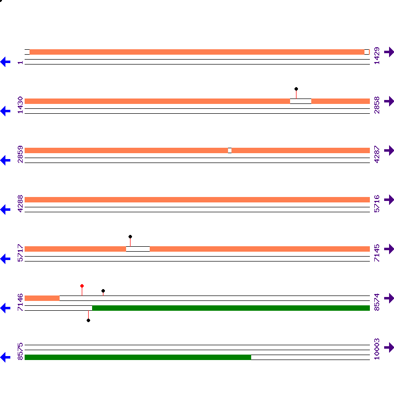 Genome View