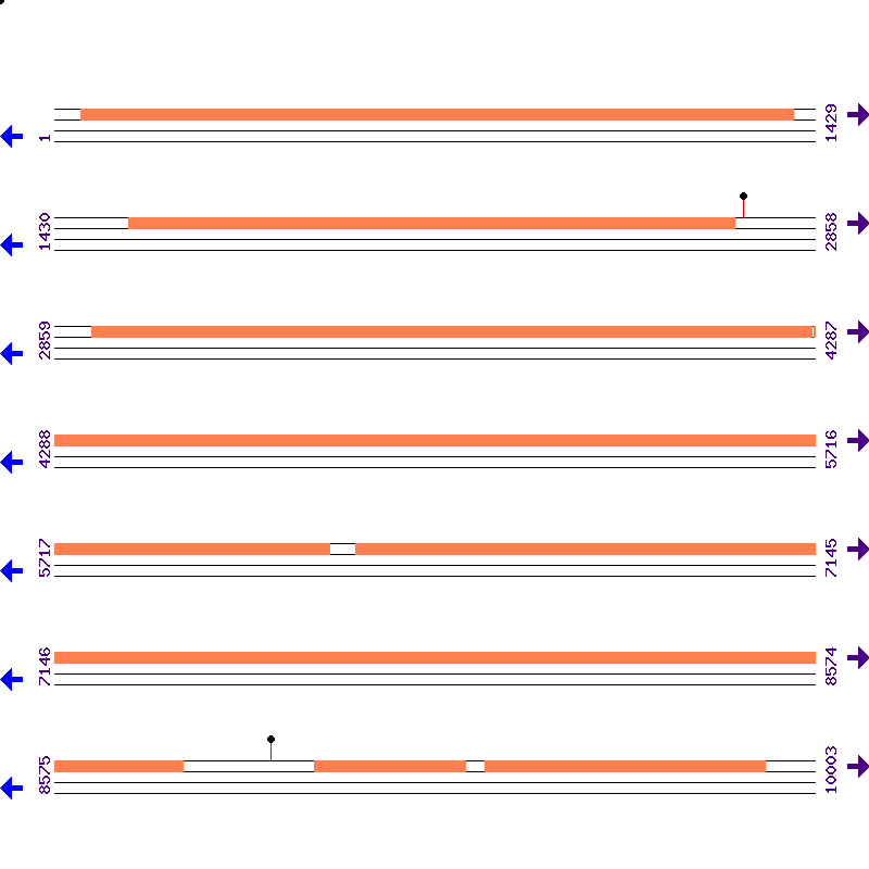 Genome View