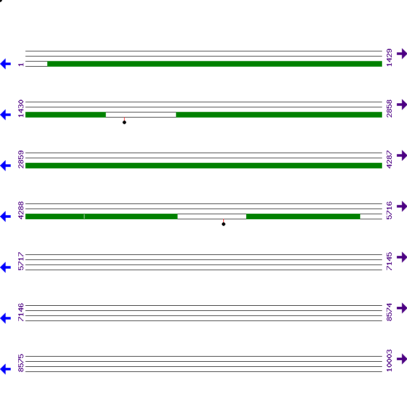 Genome View