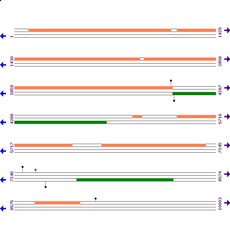 Genome View