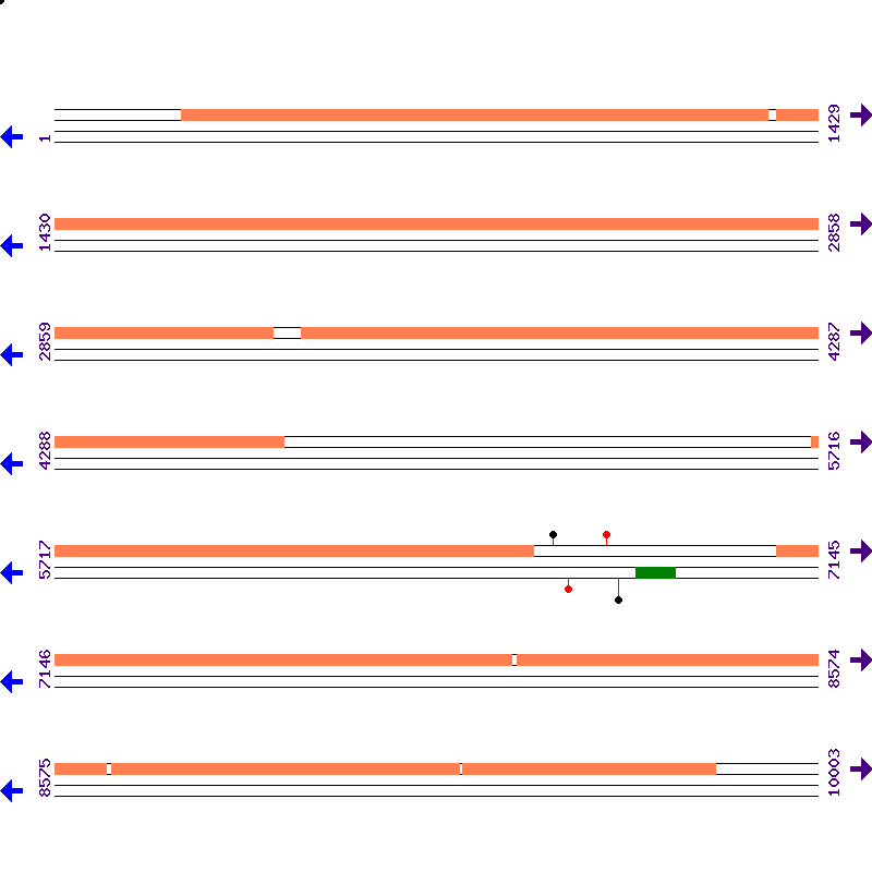Genome View