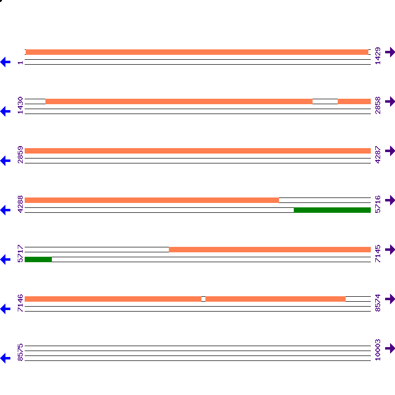 Genome View