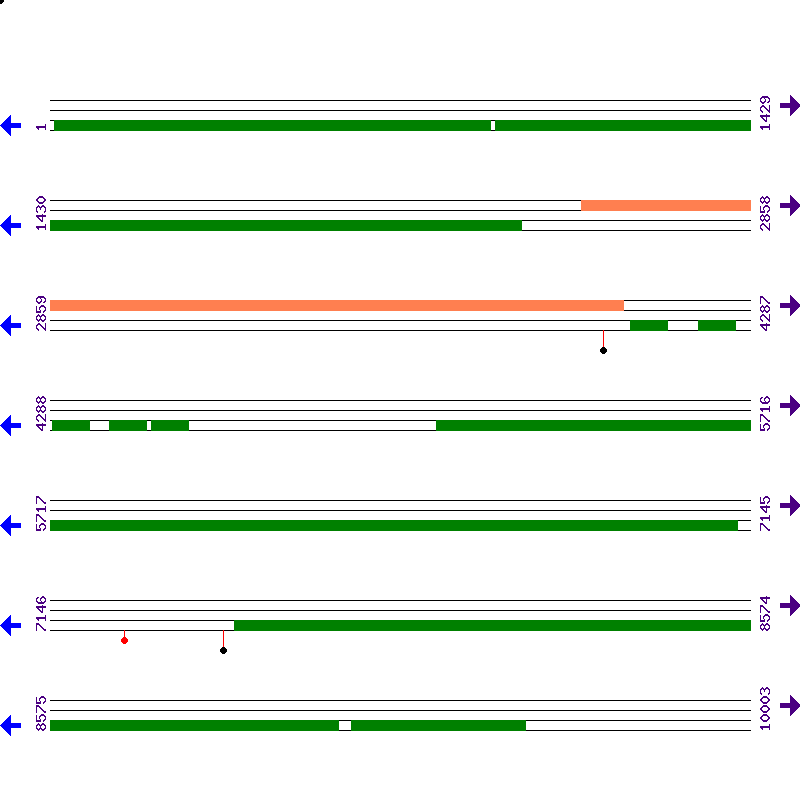 Genome View