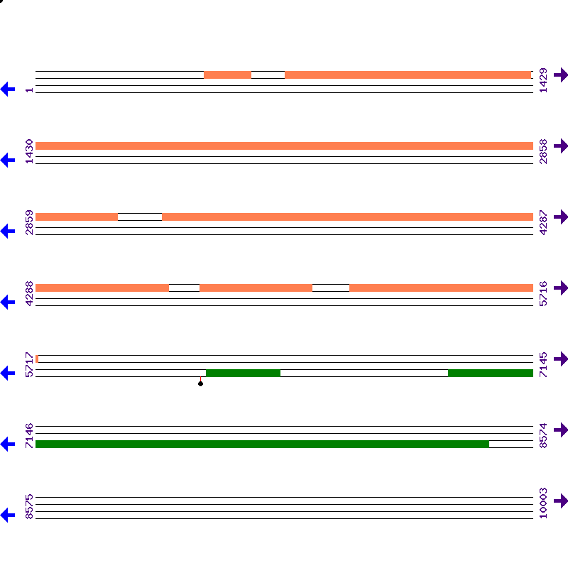 Genome View