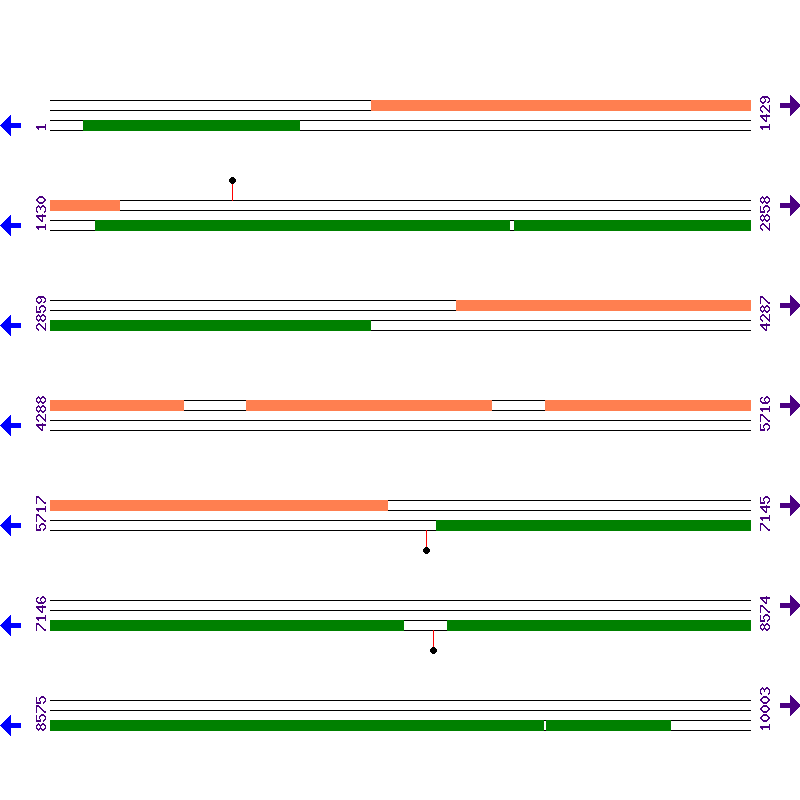 Genome View