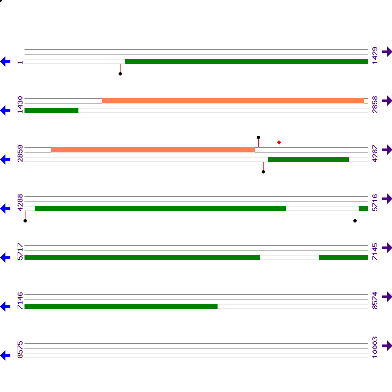 Genome View