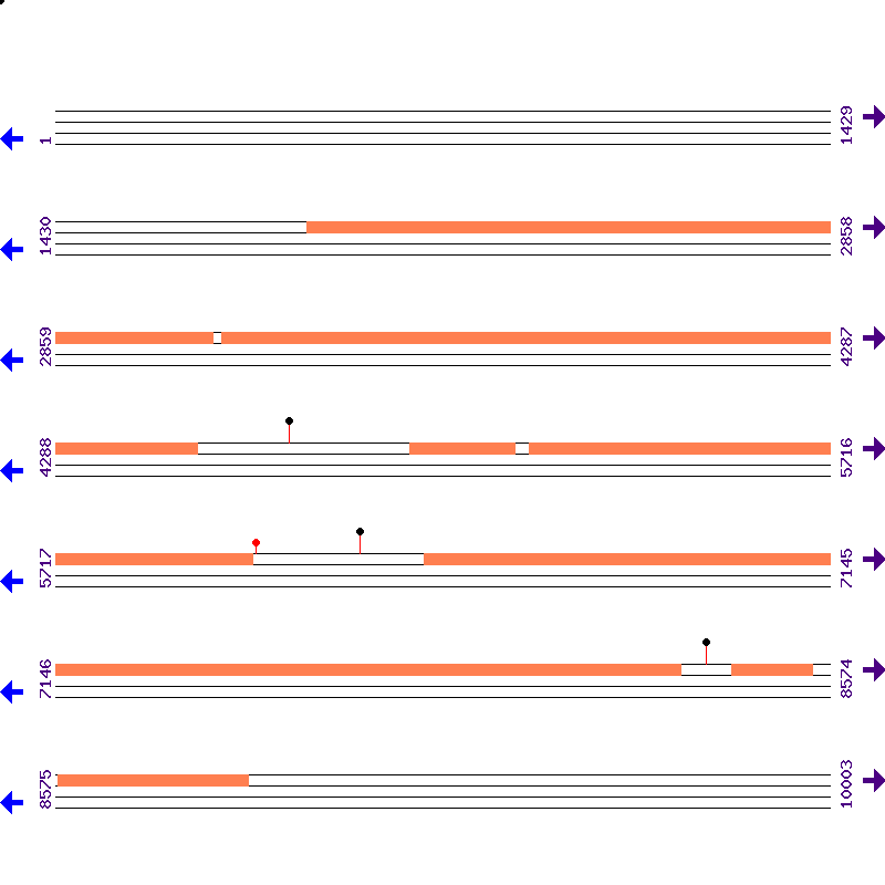Genome View