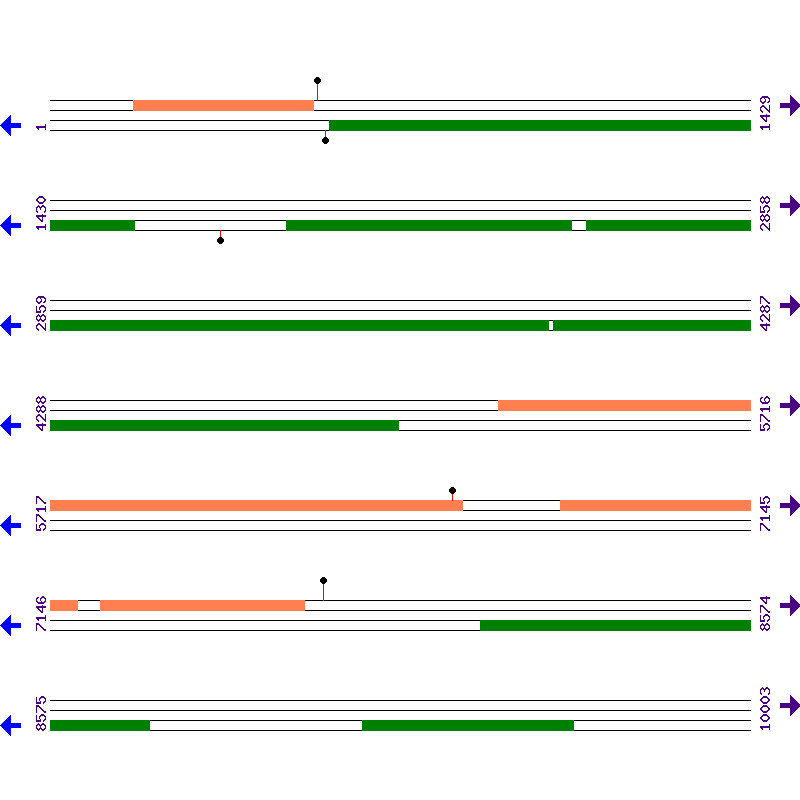 Genome View