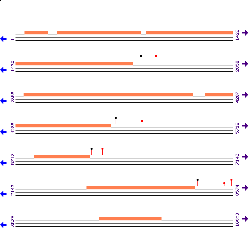 Genome View