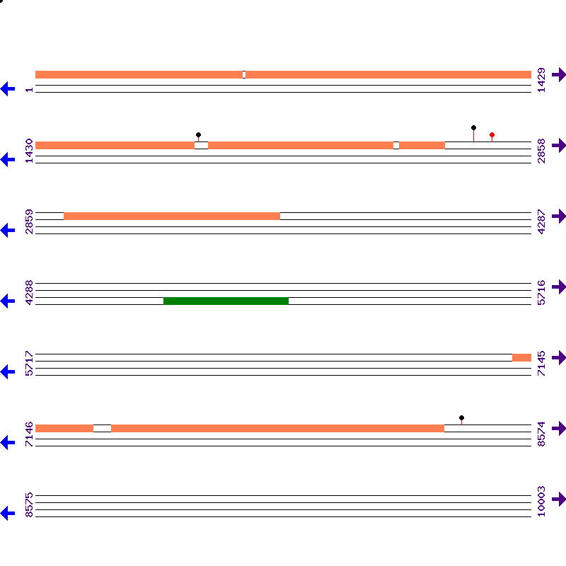 Genome View