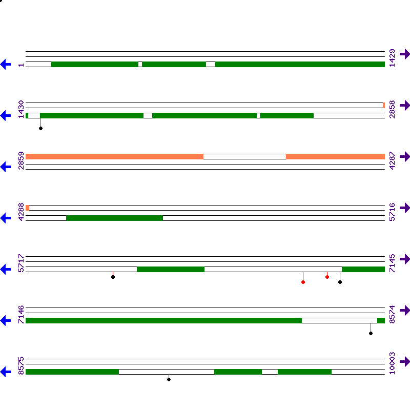 Genome View