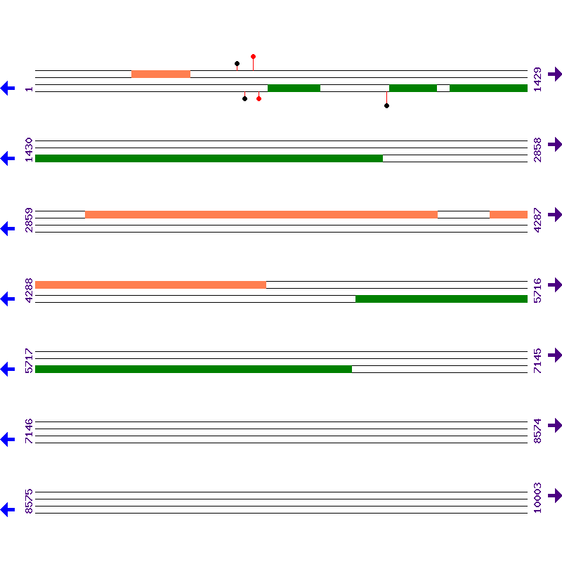 Genome View