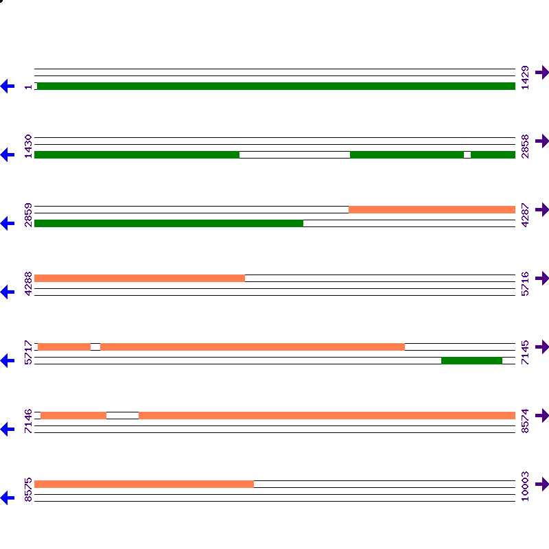 Genome View