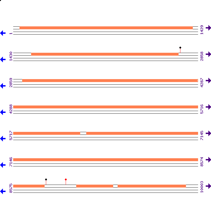 Genome View