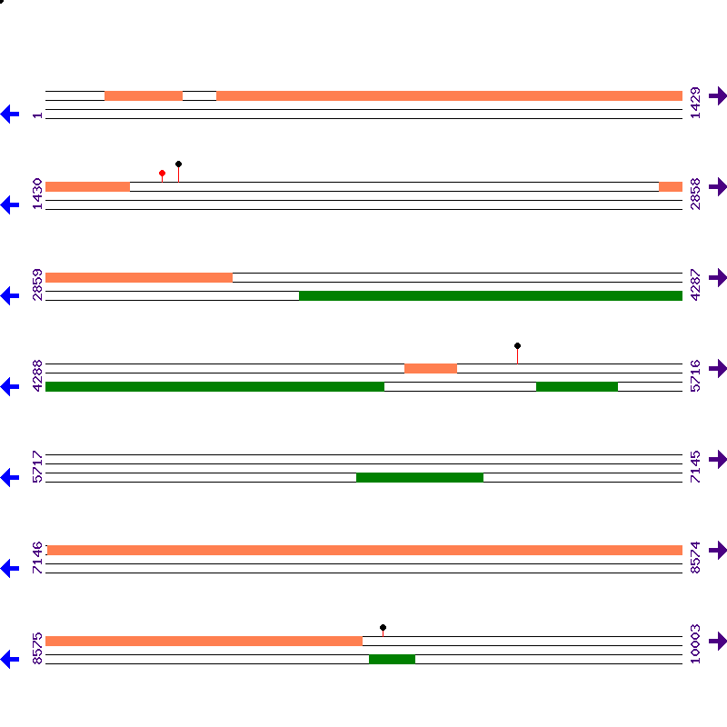 Genome View