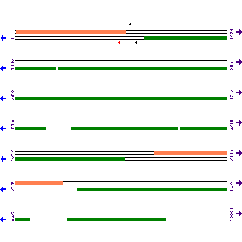 Genome View