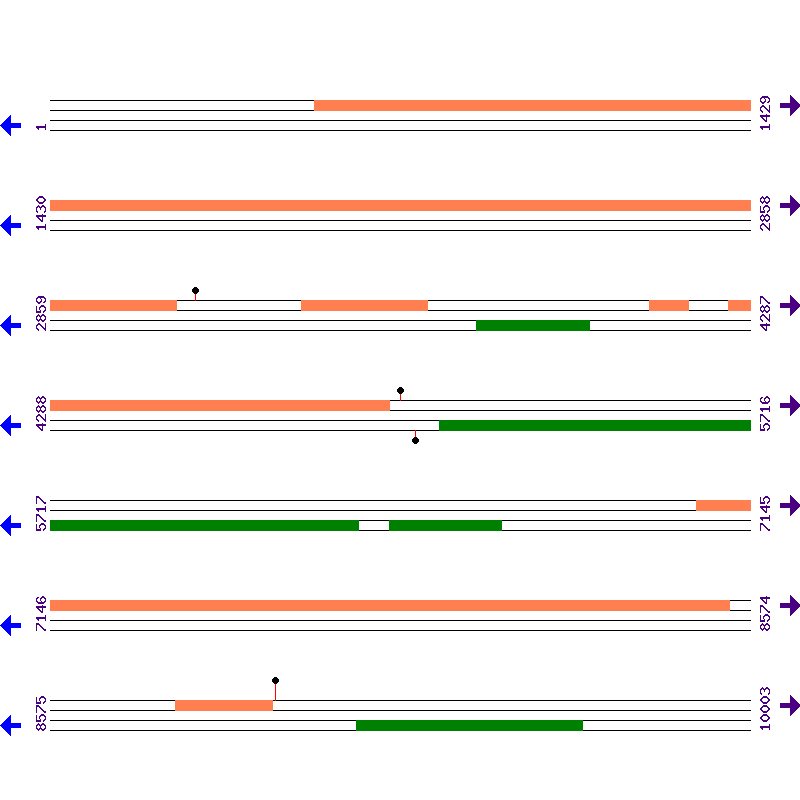 Genome View