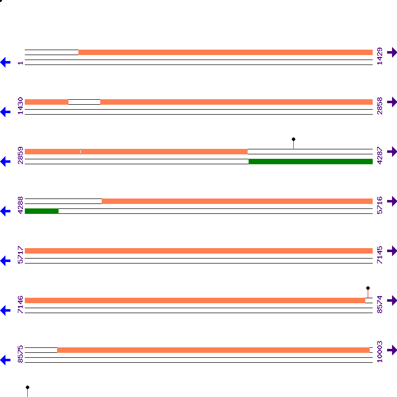 Genome View