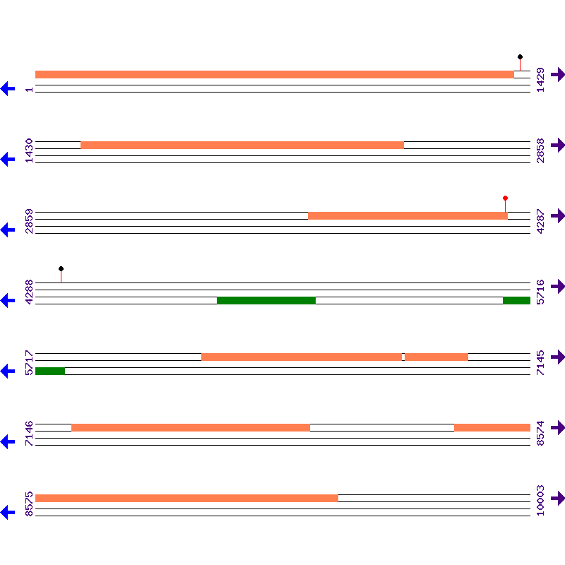 Genome View