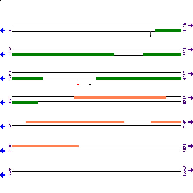Genome View