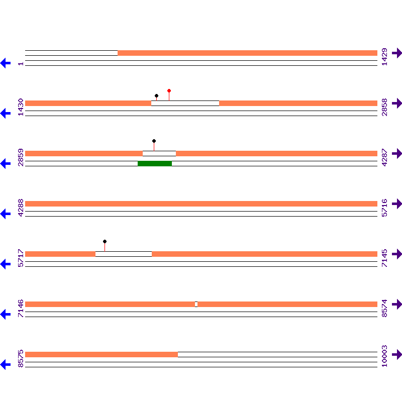 Genome View