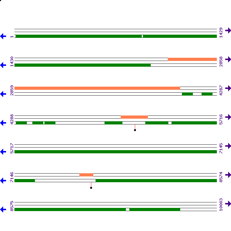 Genome View