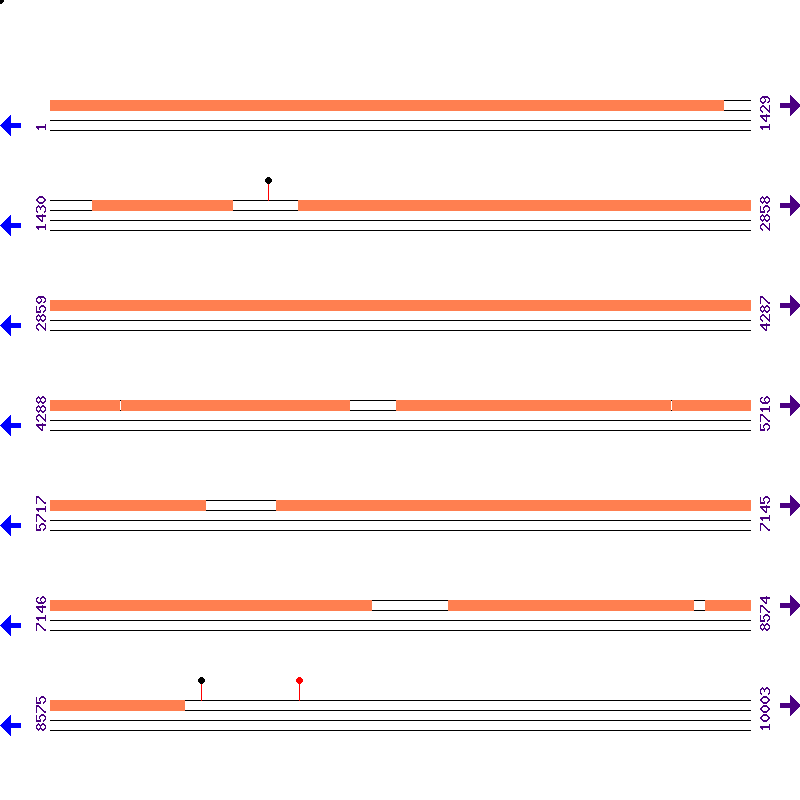 Genome View