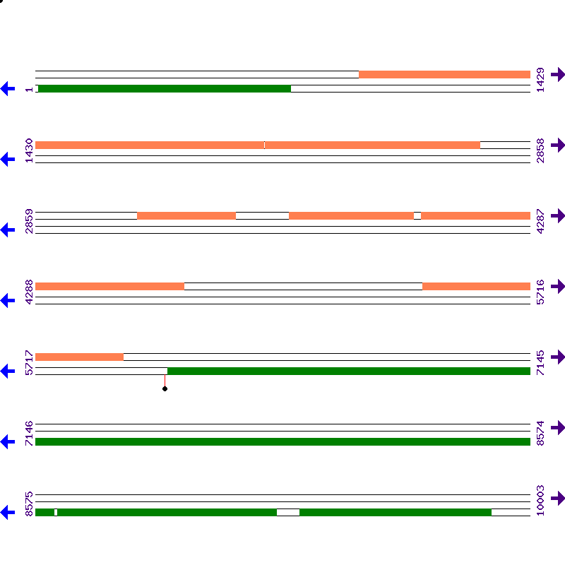 Genome View