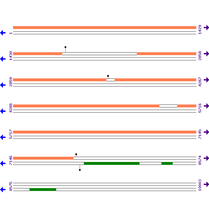 Genome View