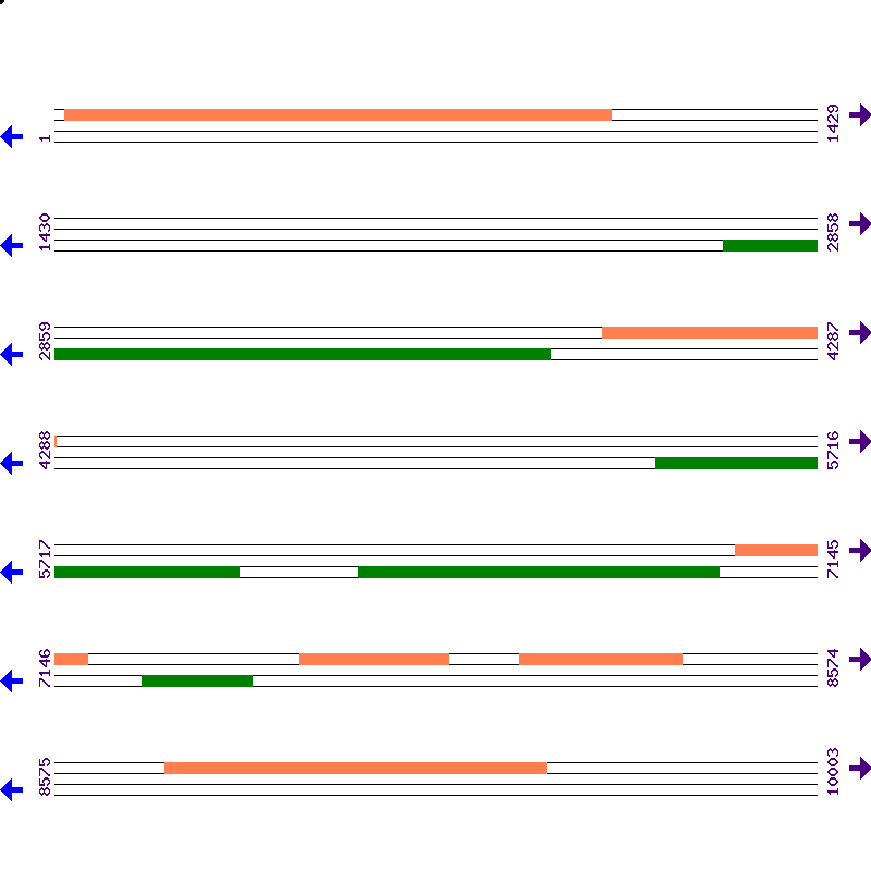 Genome View