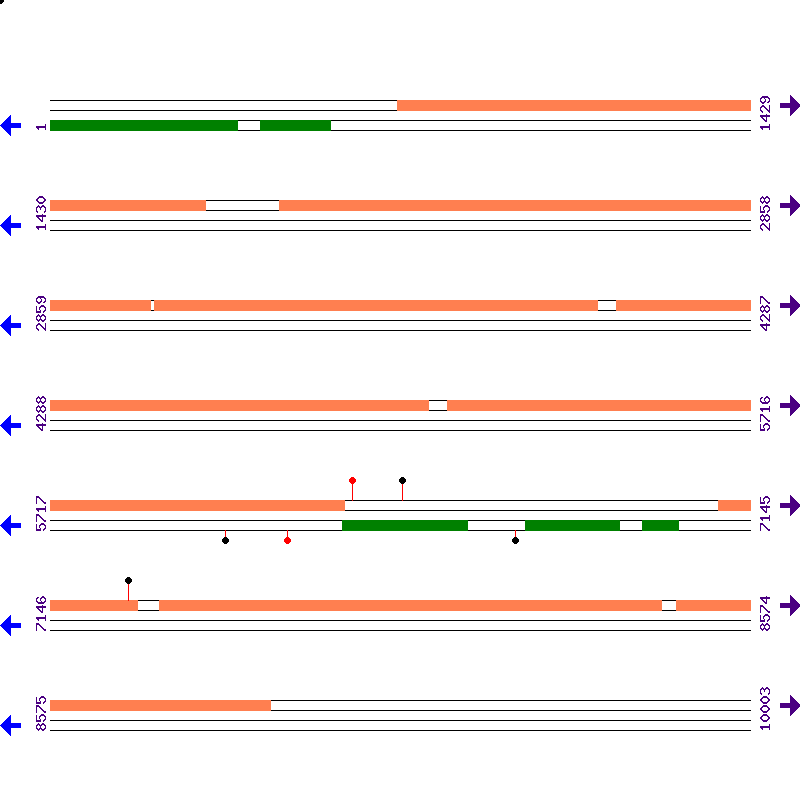 Genome View
