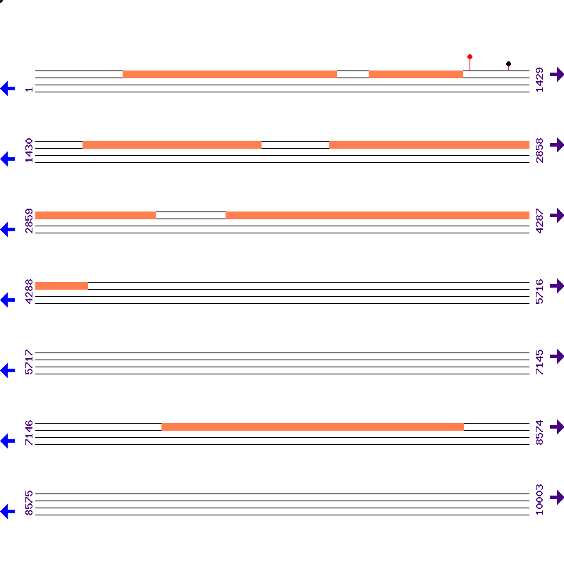Genome View