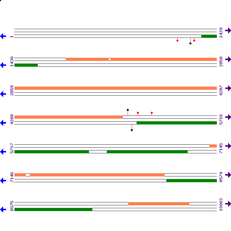 Genome View