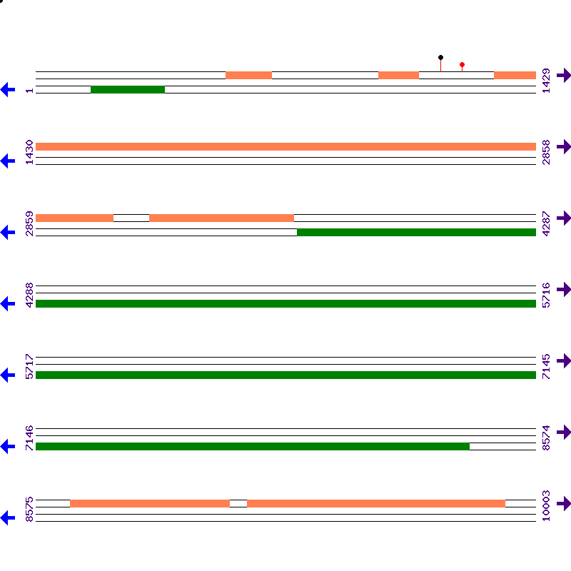 Genome View